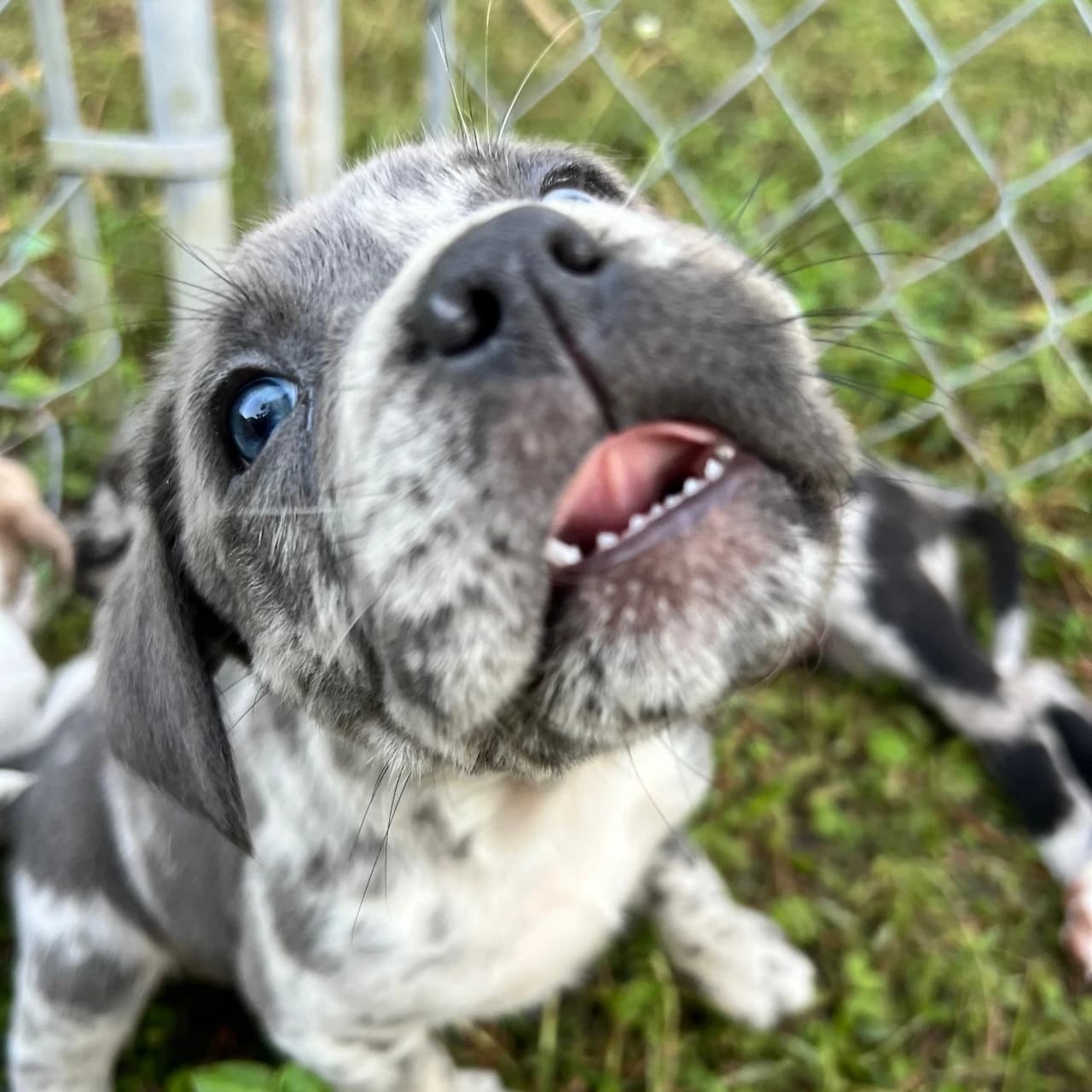 Test about hero image