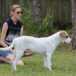 A woman squatting down next to a white and brown dog.