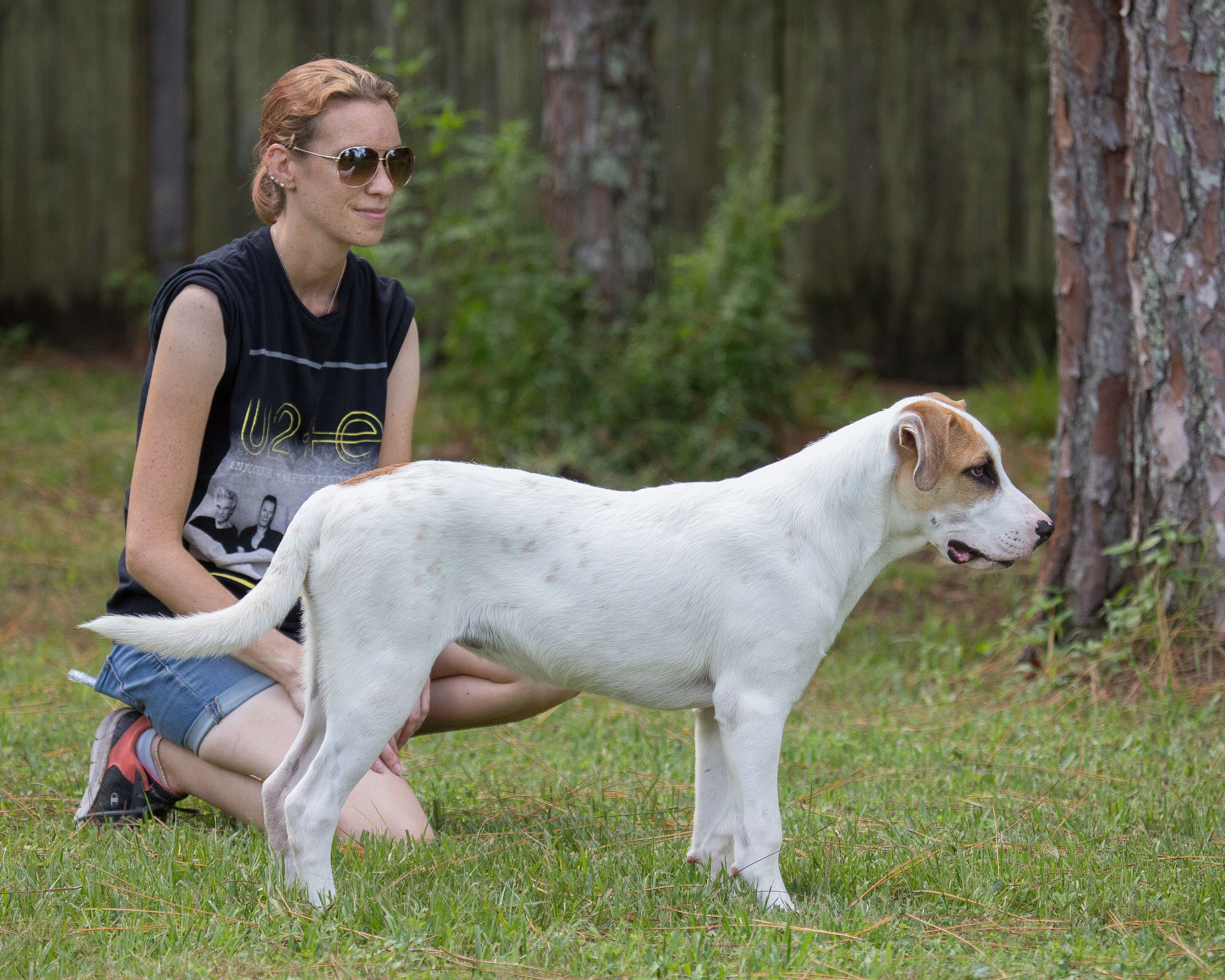 A woman squatting down next to a white and brown dog.