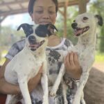 A Lady with Two Dogs